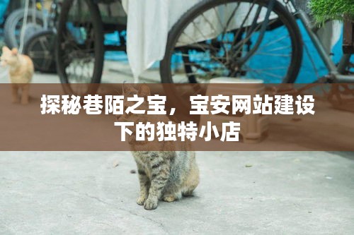 探秘巷陌之宝，宝安网站建设独特小店全攻略