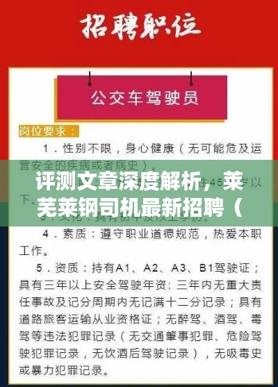 深度评测文章解析，莱芜莱钢最新司机招聘概况（2024年岗位详解）