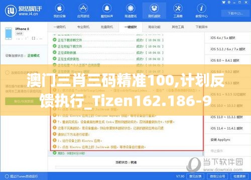 澳门三肖三码精准100,计划反馈执行_Tizen162.186-9