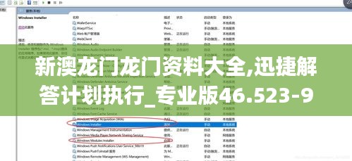 新澳龙门龙门资料大全,迅捷解答计划执行_专业版46.523-9