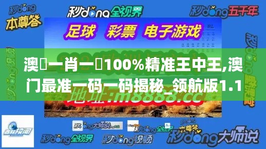 澳門一肖一碼100%精准王中王,澳门最准一码一码揭秘_领航版1.145-5