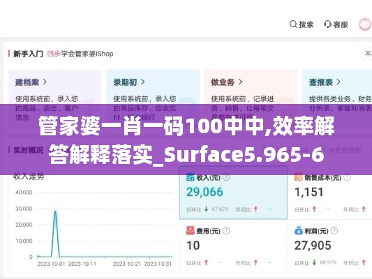 管家婆一肖一码100中中,效率解答解释落实_Surface5.965-6