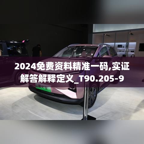 2024免费资料精准一码,实证解答解释定义_T90.205-9