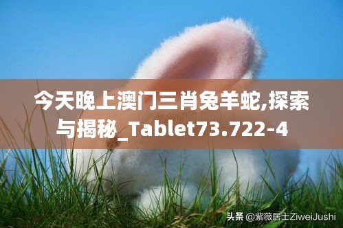 今天晚上澳门三肖兔羊蛇,探索与揭秘_Tablet73.722-4