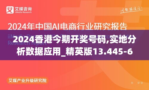 2024香港今期开奖号码,实地分析数据应用_精英版13.445-6