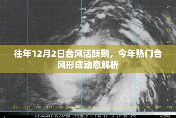 今年热门台风形成动态解析，往年12月2日台风活跃期的观察与预测