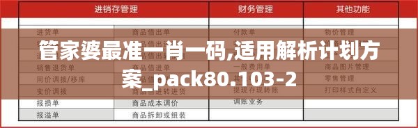 管家婆最准一肖一码,适用解析计划方案_pack80.103-2