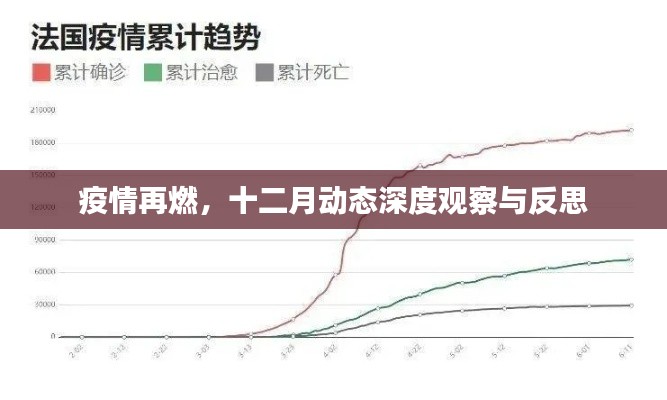 疫情再燃，十二月动态观察与深度反思