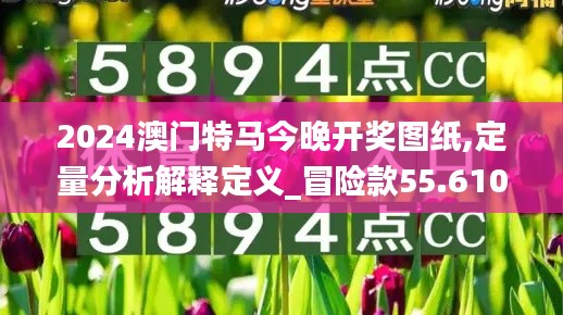 2024澳门特马今晚开奖图纸,定量分析解释定义_冒险款55.610-8