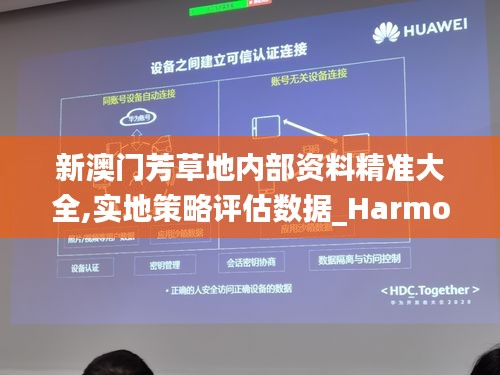 新澳门芳草地内部资料精准大全,实地策略评估数据_HarmonyOS25.353-4