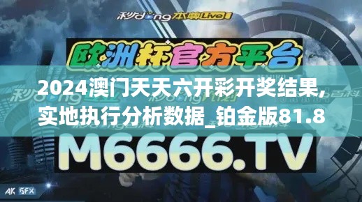 2024澳门天天六开彩开奖结果,实地执行分析数据_铂金版81.828-8