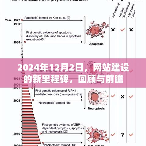 网站建设新里程碑，回顾过去，前瞻未来——2024年12月2日