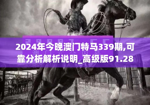 2024年今晚澳门特马339期,可靠分析解析说明_高级版91.288-7