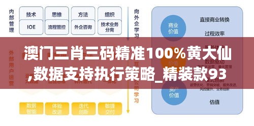 澳门三肖三码精准100%黄大仙,数据支持执行策略_精装款93.339-3