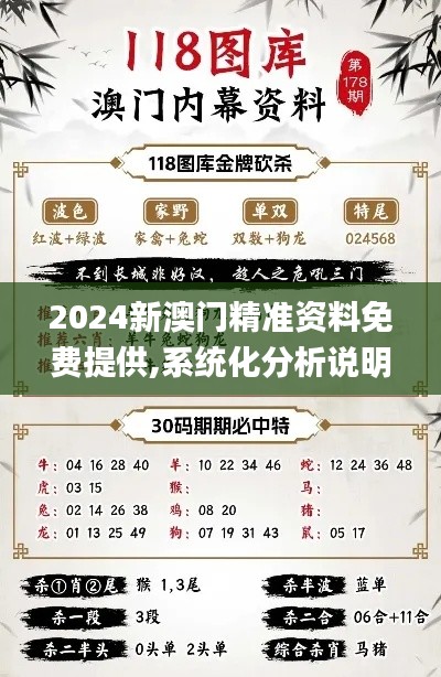 2024新澳门精准资料免费提供,系统化分析说明_尊贵版78.504-4