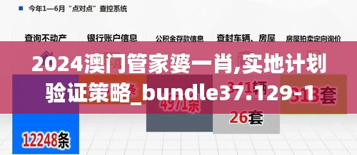 2024澳门管家婆一肖,实地计划验证策略_bundle37.129-1