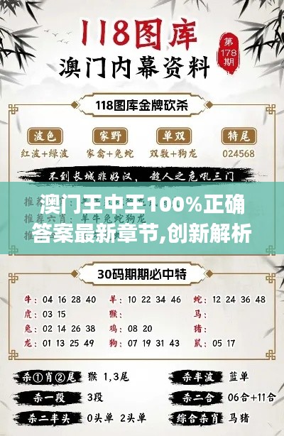 澳门王中王100%正确答案最新章节,创新解析方案_领航款61.858-6