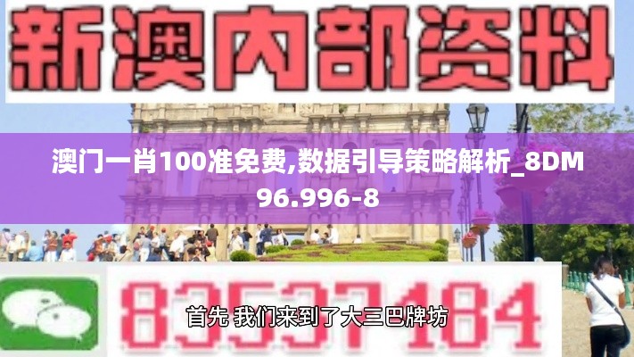 澳门一肖100准免费,数据引导策略解析_8DM96.996-8