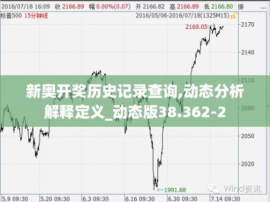 新奥开奖历史记录查询,动态分析解释定义_动态版38.362-2