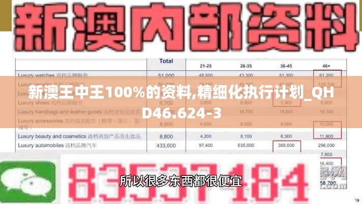 新澳王中王100%的资料,精细化执行计划_QHD46.624-3