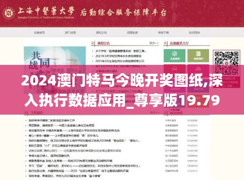 2024澳门特马今晚开奖图纸,深入执行数据应用_尊享版19.791-3