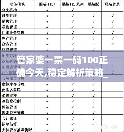 管家婆一票一码100正确今天,稳定解析策略_限定版28.400-7