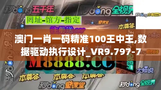 澳门一肖一码精准100王中王,数据驱动执行设计_VR9.797-7