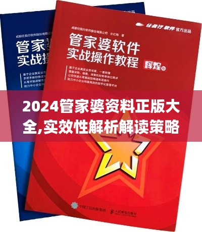 2024管家婆资料正版大全,实效性解析解读策略_特供款40.493-8