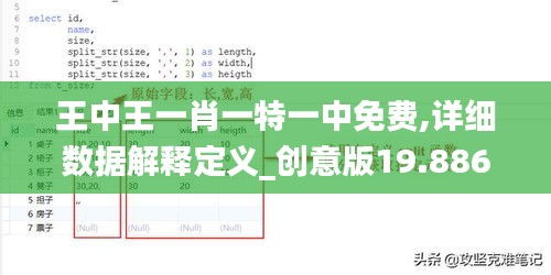 王中王一肖一特一中免费,详细数据解释定义_创意版19.886-5