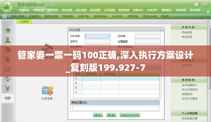 管家婆一票一码100正确,深入执行方案设计_复刻版199.927-7