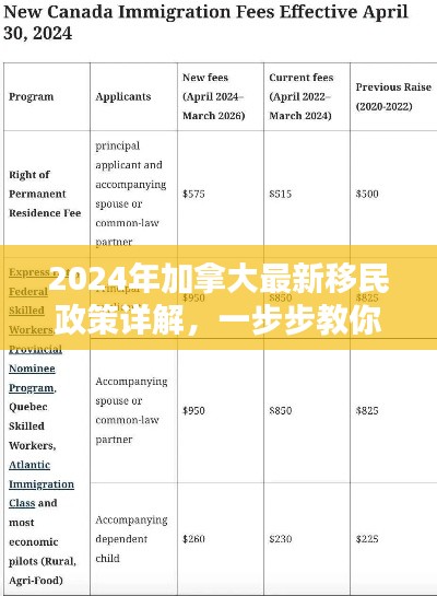 最新加拿大移民政策详解，申请移民的步骤指南（2024）