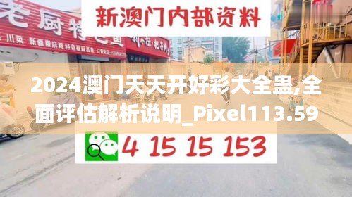 2024澳门天天开好彩大全蛊,全面评估解析说明_Pixel113.592-5