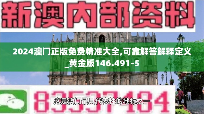 2024澳门正版免费精准大全,可靠解答解释定义_黄金版146.491-5