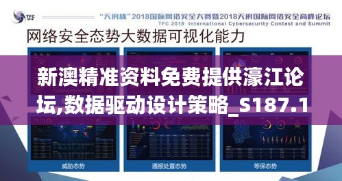 新澳精准资料免费提供濠江论坛,数据驱动设计策略_S187.178-4