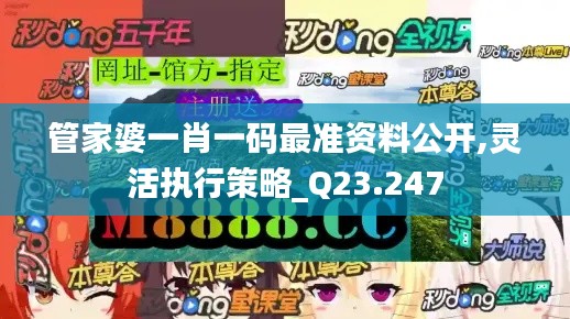 管家婆一肖一码最准资料公开,灵活执行策略_Q23.247