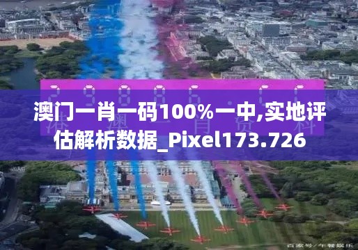 澳门一肖一码100%一中,实地评估解析数据_Pixel173.726