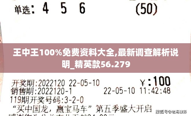 王中王100%免费资料大全,最新调查解析说明_精英款56.279