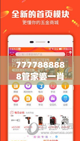 7777888888管家婆一肖,稳定设计解析策略_挑战版75.746