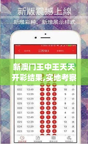 新澳门王中王天天开彩结果,实地考察分析数据_手游版147.439