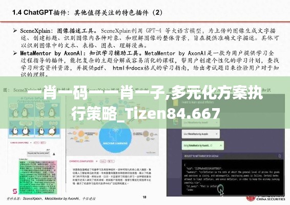 一肖一码一一肖一子,多元化方案执行策略_Tizen84.667