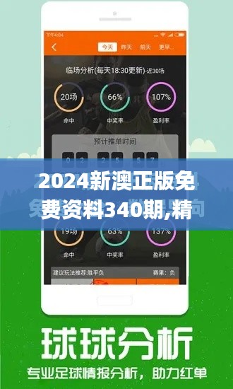 2024新澳正版免费资料340期,精确分析解析说明_专家版88.699-4