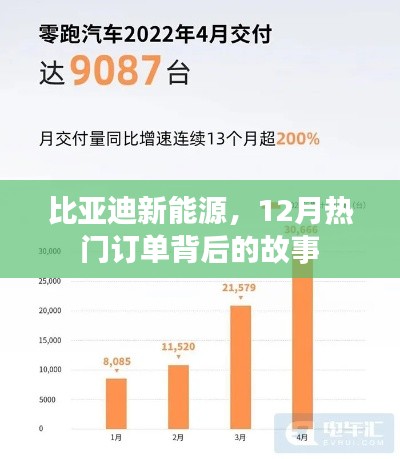 比亚迪新能源，揭秘十二月热门订单背后的故事