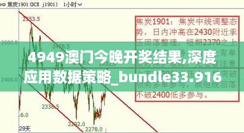 4949澳门今晚开奖结果,深度应用数据策略_bundle33.916