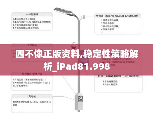 四不像正版资料,稳定性策略解析_iPad81.998