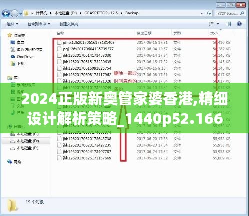 2024正版新奥管家婆香港,精细设计解析策略_1440p52.166