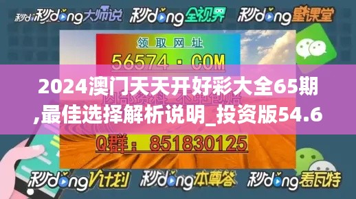 2024澳门天天开好彩大全65期,最佳选择解析说明_投资版54.624