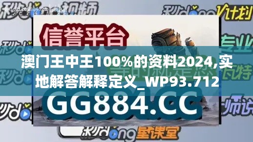 澳门王中王100%的资料2024,实地解答解释定义_WP93.712