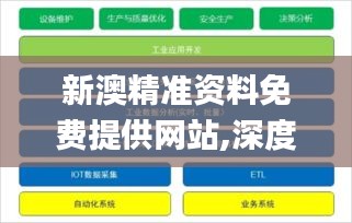 新澳精准资料免费提供网站,深度解析数据应用_T62.374