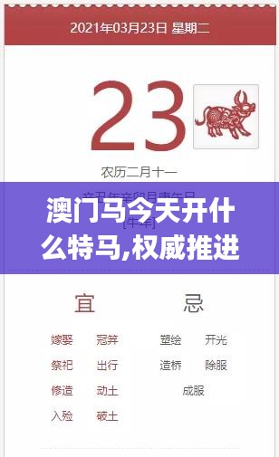 澳门马今天开什么特马,权威推进方法_试用版42.941