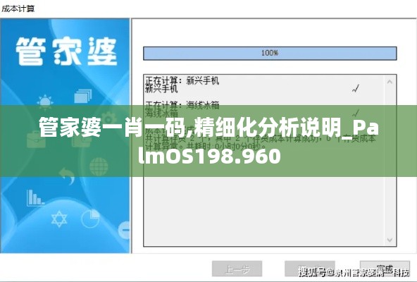 管家婆一肖一码,精细化分析说明_PalmOS198.960